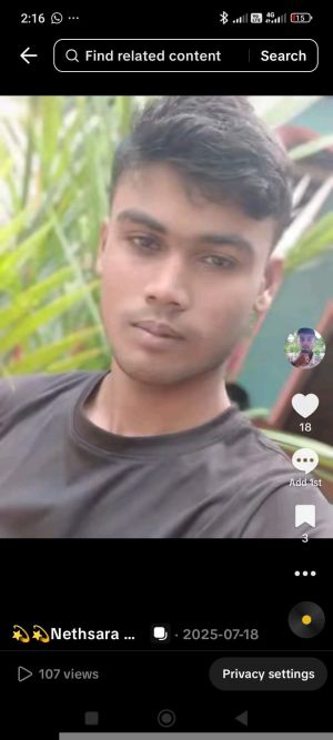 User Image